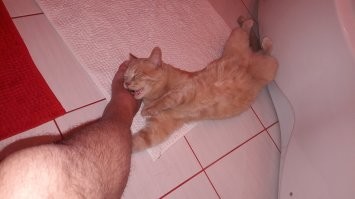 сонный кусь...