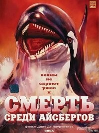 Более 500 нападений за 3 года! Неужели косатки объявили войну человечеству?