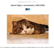 У них же лапки:  10 самых богатых в мире животных, чьё состояние насчитывает миллионы