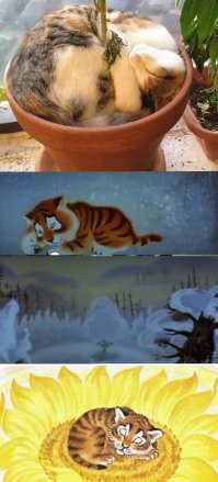 На общую тему &nbsp;