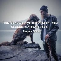 В Чите хозяин изувечил своего пса, выгнал его в подъезд и заявил, что тот был агрессивен