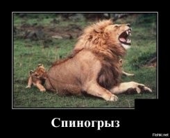 Кусь любви, нелюбви и не только