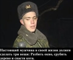 Молодого рысенка спасли в Петропавловске-Камчатском