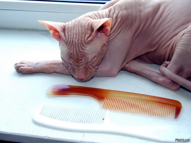 С добрым утром