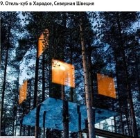 Делать дома на деревьях - плохая идея. При ветре будет раскачка. И непонятно,как там с водой и канализацией..