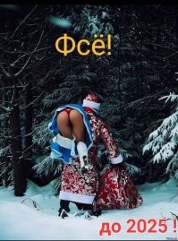 Водитель снёс новогоднюю ёлку и скрылся с места ДТП