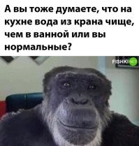 У меня наоборот. На кухне кран подключен нержавеющими трубами прямо от входа в квартиру, а ванной вола идёт по пятидесятилетним трубам, забитым мелкими частицами трубы, то есть получается своеобразный железистый фильтр, задерживающий всякую срань (кроме мелкодисперсионной ржавчины, но и на кухне она есть). Поток воды меньше, но чище. Чайник набираю там.
