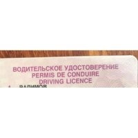 Французский язык, один из международных. До недавнего времени, надпись "Водительское удостоверение" в российских правах, дублировалась на французском.