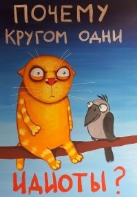 Отчаянная попытка помыть кота