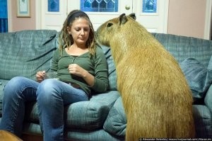 почему про второго сказано а не про первого ...?