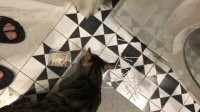 Игры, в которые играют друзья, и их результаты