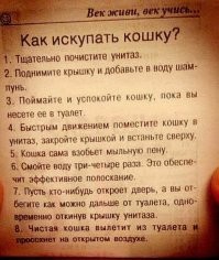 Отчаянная попытка помыть кота