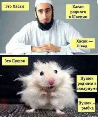 Как отличать кореянок, китаянок, японок и вьетнамок друг от друга