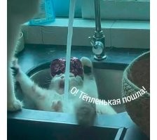 Скрины из соцсетей&nbsp;