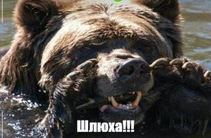 "Кого выбрать: с первым - удобно, второго - люблю": девушка не может определиться