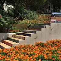 С какого перепуга вы решили что ступени огромные??? Вы хоббит что ли? Ступени обычные, а вот боковые грани выкрашены в книжные переплёты. Это лестница Баламандского университета  в Ливане, ведущая в библиотеку. Вот ещё фото с разных ракурсов. И последнее та же  лестница пока без покраски.