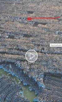 Я этот покупаю. Заверните, пожалуйста!