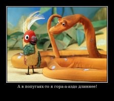 А вдруг ты не знал…