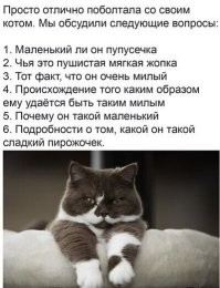 Скрины из соцсетей&nbsp;