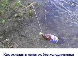 Вы, батенька, пессимист...