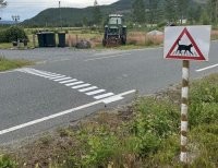А кошки об это знают?