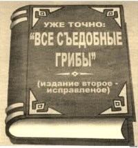 "Если гриб взял вас в заложники...": в соцсетях беспокоятся о Василии, который пообещал написать отзыв о чайном грибе - и пропал