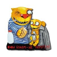 Кухонные грабители, на которых сложно обижаться