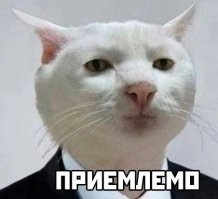 На заводе в Санкт-Петербурге возобновили производство автомобилей Kia и Hyundai