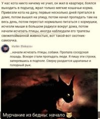 Мемы из соцсетей. Свежак за 16 января