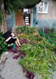 Традицию дарить срезанные трупы цветов придумали и развили продавцы цветов. 

Это мафия и сговор. 
Хочешь подарить цветок, подари его живой, в горшке. 

Дарить сено нужни корове. 

А лучше, подарить что-нибудь полезное!