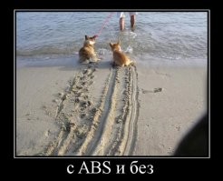 Просто гифки, всякие и&nbsp;разные