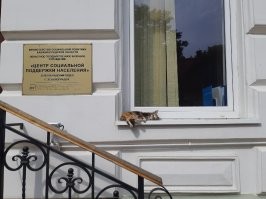 По моему вот это фото тоже очень комичное. Но тут надо читать табличку, а не только умиляться мелкому мохнатику. Сочетание тут главная фишка.