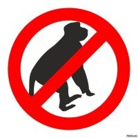 Оштрафовать не по детски, посадить на кол и выслать в свой аул, где он привык так себя вести и не дорос до цивилизованного общества.