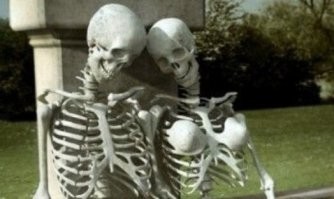 Интересная статья. Узнал, что есть сисечные кости.