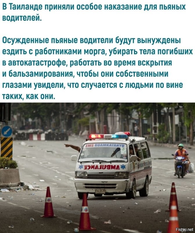 В Пермском крае будут платить за доносы на пьяных водителей