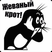 «Готовь, хозяйка!»: кошка принесла крота