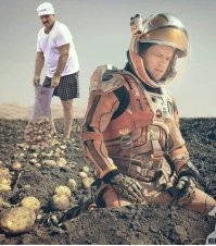 Рис, рис... Картошка вкуснее!