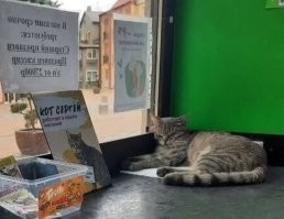 А в Зеленоградске какая-то падла стукнула и Серёгу "уволили", хорошо, что хоть на улицу не выкинули - кто-то из сотрудников домой взял!