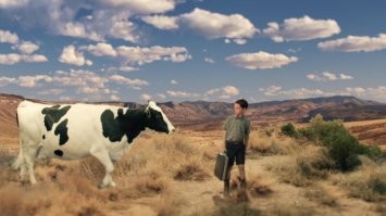 Шелдон подрос