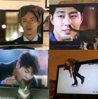 Фотографии, сделанные в нужный момент