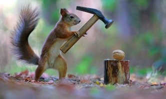 Вот ведь ПОКЕМОНИЩЕ,вроде как взрослая бабище,а в голове одни  белочки с молоточками  !!!