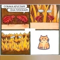 Интересно, что думают о человеке вирусы в его крови? Или существа, обитающие на электронах наших атомов?
