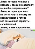 Работать не пробовал?