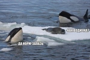 Подборка Коуб