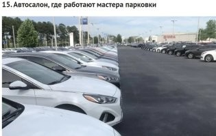 Никогда не понимал - зачем размачивать печенье. ИМХО,намного приятнее похрустывать вприкуску. 
Опять же ИМХО - кто коллекционирует книги по цвету и размеру,тот их не читает. 
 И да, в автосалонах работают мастера парковки. Это их работа и ежедневная рутинная обязанность..
