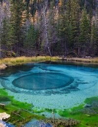 Некоторые фото настолько отфотошоплены, что их нельзя называть фото природы, красивого места. Некоторые подписи-пояснения ... просто собрание слов в вольном порядке. А вот это вообще полнейший маразм: "учёные, морские биологи и специалисты по черепахам были поражены - они никогда не видели ничего подобного." Как то, когда у меня жила красноухая черепаха я не сообразила позвать этих тупых "учёных" полюбоваться как пузырит моя черепашка при КАЖДОМ погружении в воду в террариуме. Короче есть несколько действительно отличных кадров,но в целом странный пост, много  лживых фоток и нет нашей страны. Минус без вопросов.