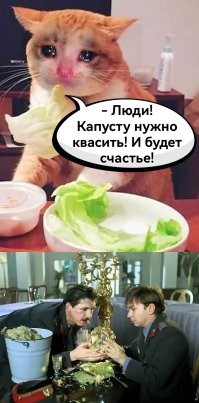Капуста ферментированная - максимум полезных элементов!