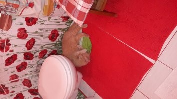 Проблема выбора