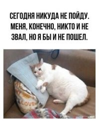 Мемы из соцсетей. Свежак за 18 января
