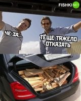 Мой дядька на "Запорожце" так  на зиму дров заготавливал... Поедет, осинку или берёзку завалит, попилит на колодки в машину  и домой...